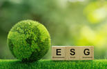 ESG and Standardization: Pillars for Sustainability and Assurance