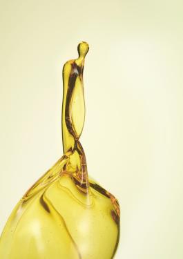 Oil & Petrochemicals