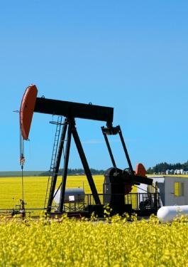 Biofuels Testing & Inspection