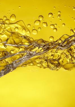 Cargo Treatment / Petroleum Additives