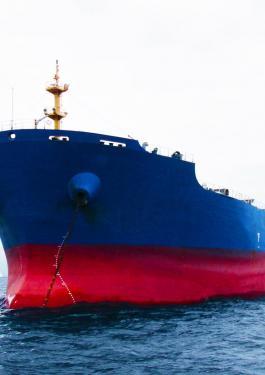 Petroleum Cargo Inspection